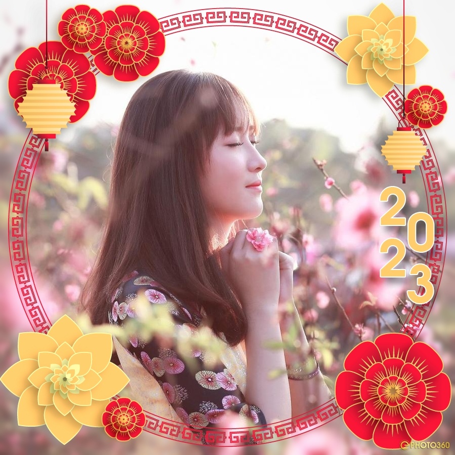Tạo avatar Tết sum vầy đẹp với hoa mai trực tuyến