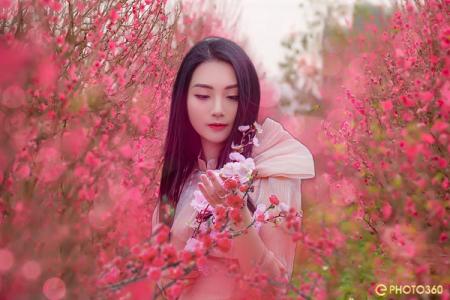 Tạo avatar ghép ảnh vườn hoa đào Tết