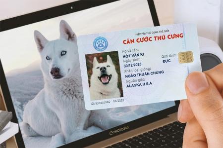 Tạo ảnh chế thẻ căn cước cho thú cưng